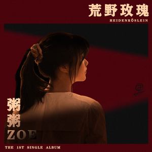 六月婷婷久香在线视频
