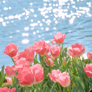 六月婷婷久香在线视频
